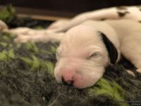 IMG_20250106_173507_web