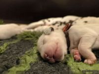 IMG_20250106_173512_web