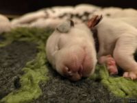 IMG_20250106_173517_web