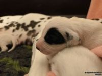 IMG_20250106_173538_web