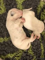 IMG_20250106_173642_web