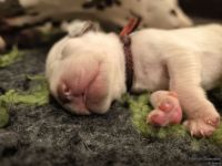 IMG_20250106_173726_web