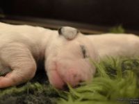 IMG_20250106_173850_web