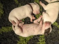 IMG_20250107_155853_web