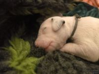 IMG_20250107_155927_web