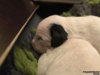 IMG_20250107_155935_web