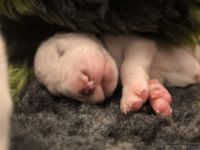 IMG_20250107_155953_web