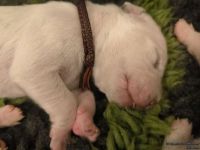 IMG_20250107_160039_web