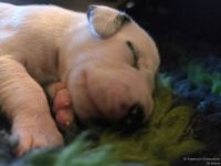 IMG_20250107_160053_web