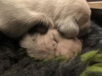 IMG_20250107_160156_web