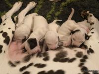 IMG_20250107_164720_web