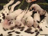 IMG_20250107_164803_web