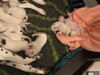 IMG_20250107_164818_web