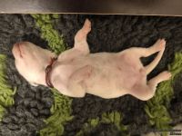 IMG_20250107_171134_web