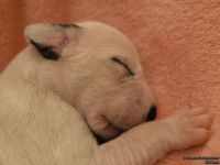 IMG_20250107_171215_web