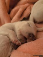 IMG_20250107_171630_web