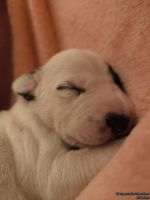 IMG_20250107_171658_web