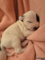 IMG_20250107_171747_web