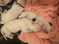 IMG_20250107_172753_web