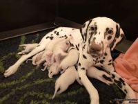 IMG_20250107_181902_web