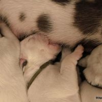 IMG_20250106_172650_web