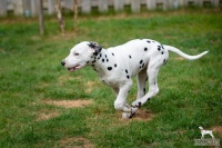 20250330_D-Wurf_65160