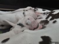 IMG_20250108_144618_web