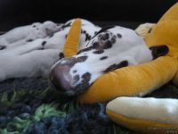 IMG_20250108_144629_web