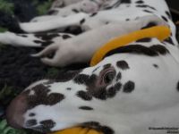 IMG_20250108_144634_web