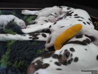 IMG_20250108_144637_web