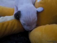 IMG_20250108_144700_web