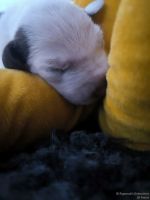 IMG_20250108_144707_web