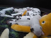 IMG_20250108_144726_web