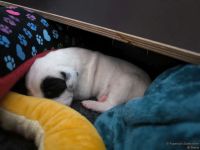 IMG_20250108_144732_web