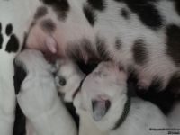 IMG_20250108_144828_web