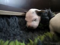 IMG_20250108_144837_web