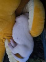 IMG_20250108_144900_web