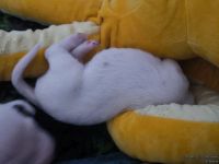 IMG_20250108_144904_web