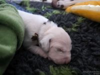 IMG_20250108_144909_web