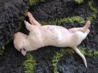 IMG_20250109_150848_web