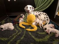 IMG_20250109_215725_web