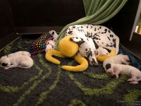 IMG_20250109_215739_web