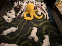 IMG_20250109_223403_web