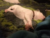 IMG_20250110_192419_web