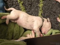 IMG_20250110_192500_web