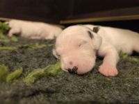 IMG_20250110_192506_web