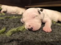 IMG_20250110_192512_web