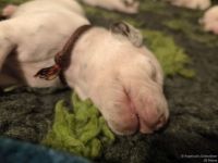 IMG_20250110_192541_web