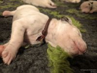 IMG_20250110_192557_web