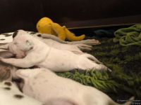 IMG_20250110_221420_web